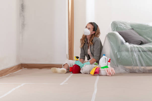 Trusted Mold Inspection service in Richmond, IL - WQB Mold Removal